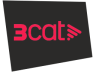 3 Cat
