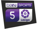 beinlm5