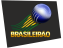 Brasileirao 