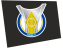 Brasileirao 