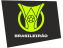 Brasileirao 