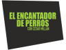 Canal El Encantador de Perros
