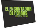 canalelencantadordeperros