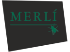 Logotipo de Canal Merlí
