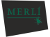 Canal Merlí