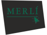 Canal Merlí