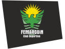 cdfemarguin