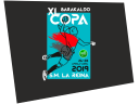 copareinabalonmano2019