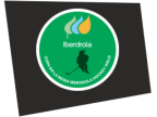 Logotipo de Copa de la Reina Hockey Hielo 2026