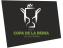 Copa de la Reina Hockey Patines 