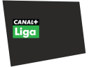 cpliga2009