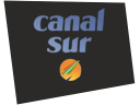 csur1993