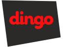 dingo