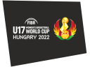 fibau17chfem2022
