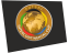 FutSal Intercontinental Cup 