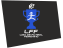 Liga Femenina 1ª División