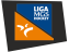 Liga MGS