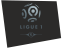 Ligue 1