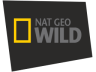 Logotipo de NatGeo Wild entre Octubre/2011 y Enero/2019