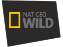 ngwild2011