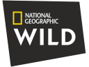 ngwildhd