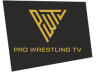 Pro Wrestling TV