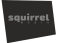 Squirrel Media