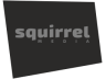 Squirrel Capital Squirrel Capital