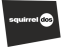 Squirrel 2