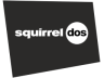 Squirrel 2