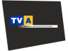 Logotipo de TV Canaria entre Agosto/1999 y Septiembre/2001