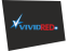 Vivid TV 2