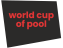 World Cup of Pool 